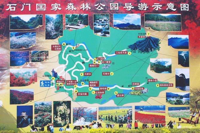 ʯ�T����ɭ�ֹ��@���ΈD