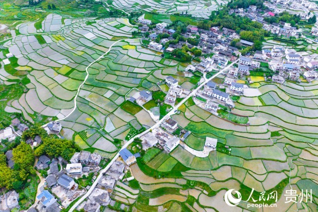 �����F�(y��ng)�л�Ϫ�^(q��)��������������W(w��ng)ӛ�� Ϳ���z