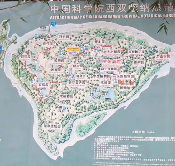 �Ї��ƌWԺ���p��{�Ꭷֲ��@���[�D